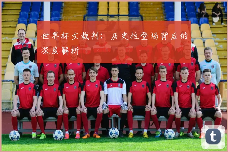 世界杯女裁判:历史性登场背后的深度解析