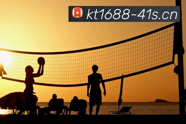 星空体育网址入口APP 封面图